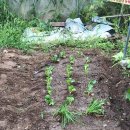 재식농장 이미지