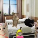 해피캣 이미지