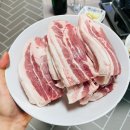 판다진 이미지