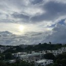 [괌여행] 3. Day4(돌핀투어ㅣ닛산렌트카ㅣ사랑의절벽ㅣ남부투어ㅣGPOㅣ찰리스필리스테이크ㅣ케이마트ㅣ...