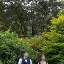 풀밭 | [W] 이포토에세이-야외 언덕 풀밭 장소 촬영 후기