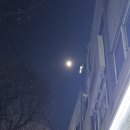 팔달구청 앞 이미지