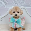 사림동253 이미지