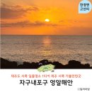 제주해양경찰서 한림파출소 | 제주 서쪽 가볼만한곳 제주도 일몰 명소 자구내포구 엉알해안