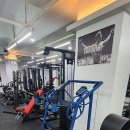 하이볼트 짐 이미지