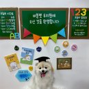 버블펫 | 장항동애견미용 잘한다고 소문난 '버블펫' 우리 강아지 유치원 첫 등원 후기