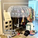 산현로 | [고양/탄현] EBS 극한직업에도 나온 일산빈티지샵 크크셀렉샵 방문 후기