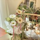 타티아르 이미지