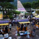달맞이밤 이미지