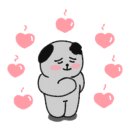 타비다코 이미지