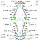 한가람동물의료센터 네이버블로그