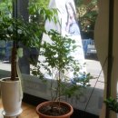 모리안경원 이미지