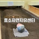 왕쑥뜸 | 성남 야탑 효소자연치유센터 효소찜질과 왕쑥뜸을 한 번에