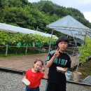 토끼사냥 | 영월여행 아이와 함께 가볼만한 곳 미꾸리사냥&캠핑 내돈내산 후기