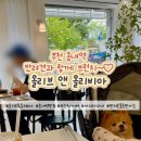 올리브앤올리비아 이미지