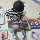 어쩌다 책육아:) 6세 12월까지 찌후 책장 / 여태까지 구입했던 유아동전집 간단후기 몰아쓰기