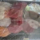 옥언니참치초밥
