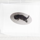 현암2길 이미지