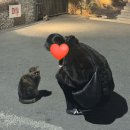 한올드라이크리닝 | 르메르 크루아상 소가죽 블랙 미듐 실사용 후기