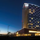 소노캄 고양 이미지