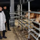 한우유전자원컨설팅 | 강진군, 한우산업 육성에 65억 투자…우량 송아지 경쟁력 강화