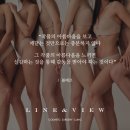 라인앤 이미지