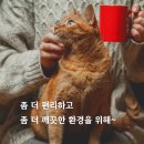 라라홈 | 고양이 자동화장실 렌탈 비교! 라라홈 vs 캣링크 영