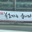 영화 | 에이리언: 로물루스 Alien: Romulus