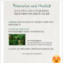 샴퓨 이미지