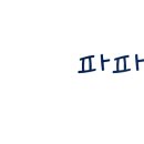 파파톨드미 이미지