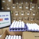 티엔씨 코리아(TNC KOREA) 이미지