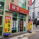 금성부동산공인중개사사무소 이미지