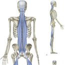 대흥헬스 이미지