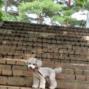 디디디 - 광양시 항만13로 27-8 | 디디디