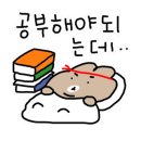 매가패스 이미지