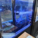 씨유송도뉴타운점 | [인천 송도] 캠퍼스타운역 매일회사랑 광어+매운탕 후기