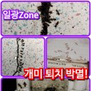 해충박멸ZERO