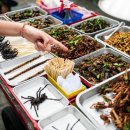 곤충 음식에 대한 심리적 장벽을 극복하는 방법과 실제 사례