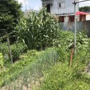 도봉-도봉-서울도봉-2385 이미지