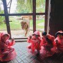 (주)코끼리투어 이미지