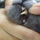 폴리파크지산점 이미지