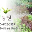 천수텃밭농원 네이버블로그