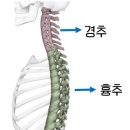 구리삼성정형외과의원 이미지