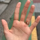 방이동 필라테스 pt 추천 피지오스튜디오 42회차 복근 등운동 후기