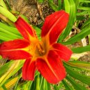 북면지역아동센터 이미지