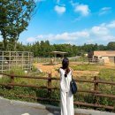 전주 가볼만한곳 1박2일 여행 코스 BEST5 종결편!