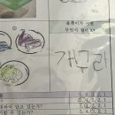 나듀블챌할래