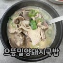 밀양돼지국밥 | 부산 괴정 대티에서 먹은 으뜸밀양돼지국밥 후기