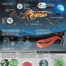 모기 퇴치법 이미지