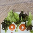 모찌를 빚으며 마음도 말랑말랑해졌어요”파랑새 정혜진 강사의 어르신 힐링 푸드테라피 수업 후기